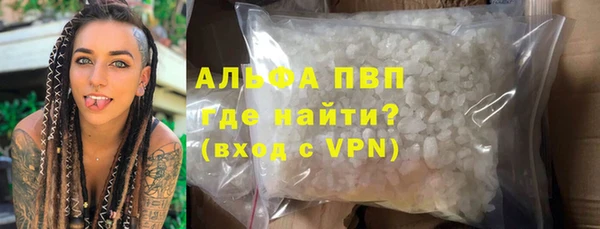 apvp Алзамай