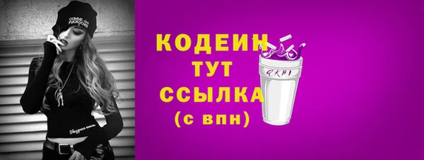 МДПВ Слюдянка