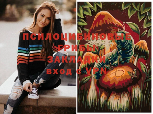 прущие крисы Алексин