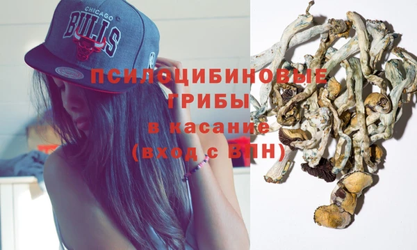 твердый Армянск