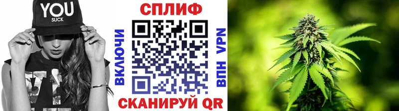 где найти Губкинский mega зеркало Марихуана сатива